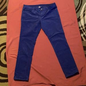 royal blue corduroy pants